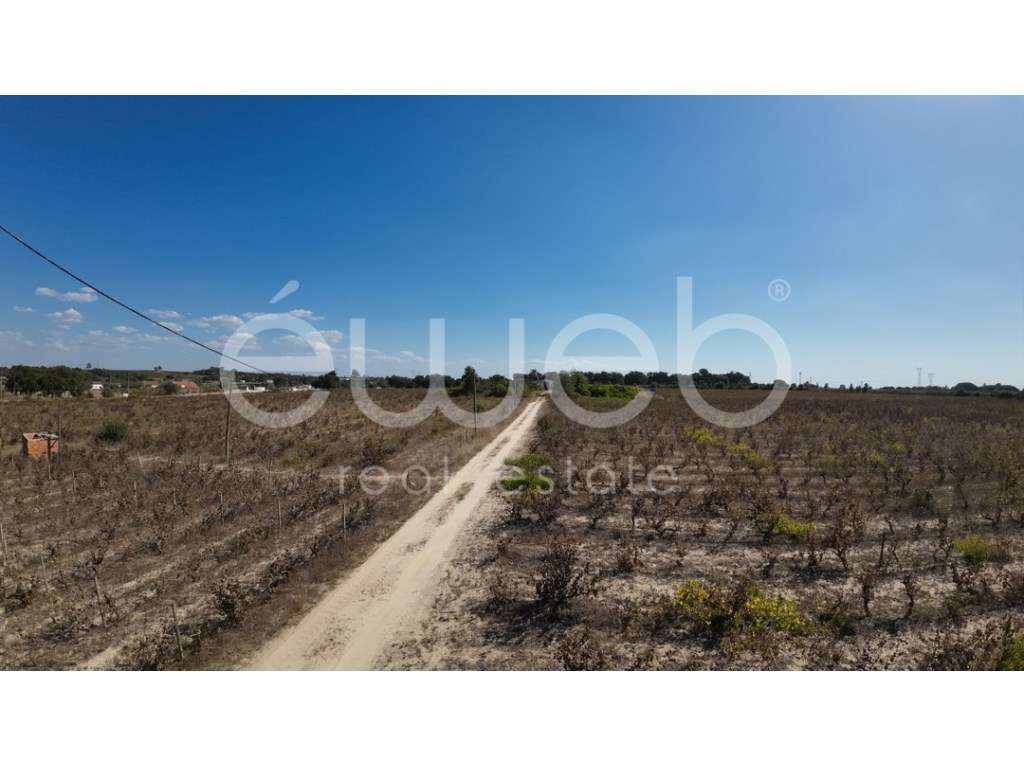 Terreno, Bairro Margaça, Águas de Moura - Grande imagem: 2/10