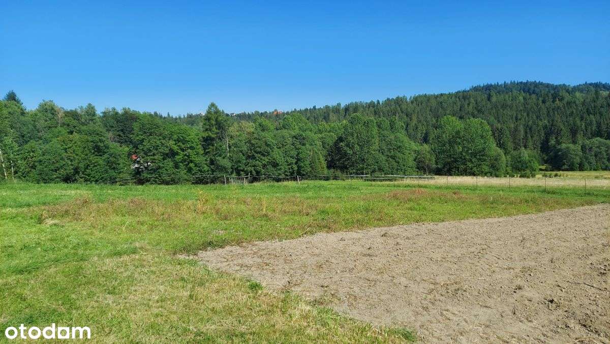 Wyjątkowe Siedlisko 7800 m² – Laliki-12