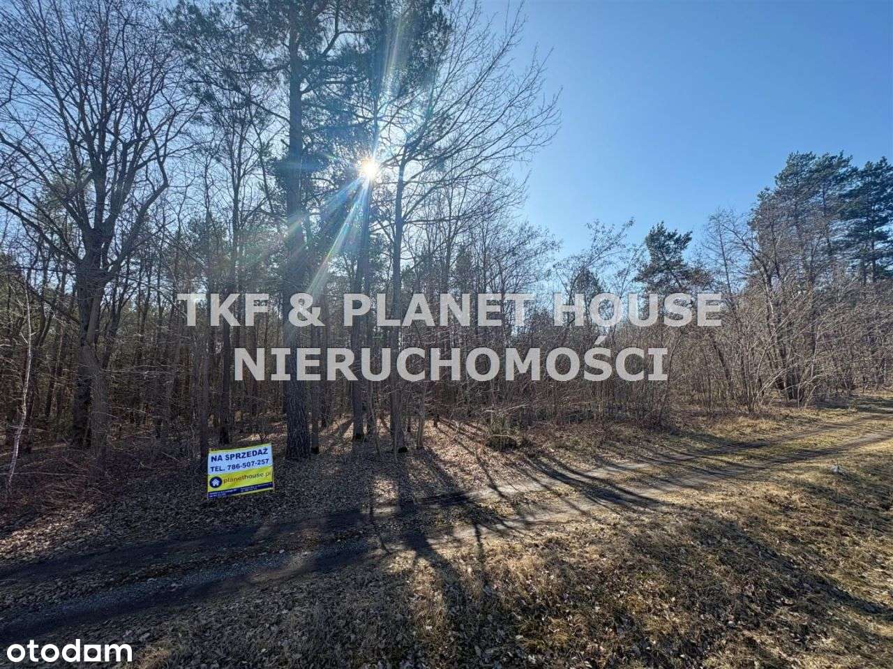 Działka leśna 1.12ha Owadów, Sławno-2