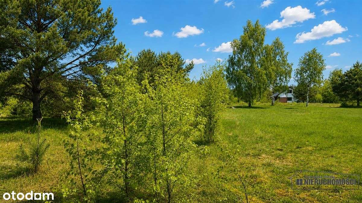 Działka budowlana nad pięknym jeziorem Dołgie.-12