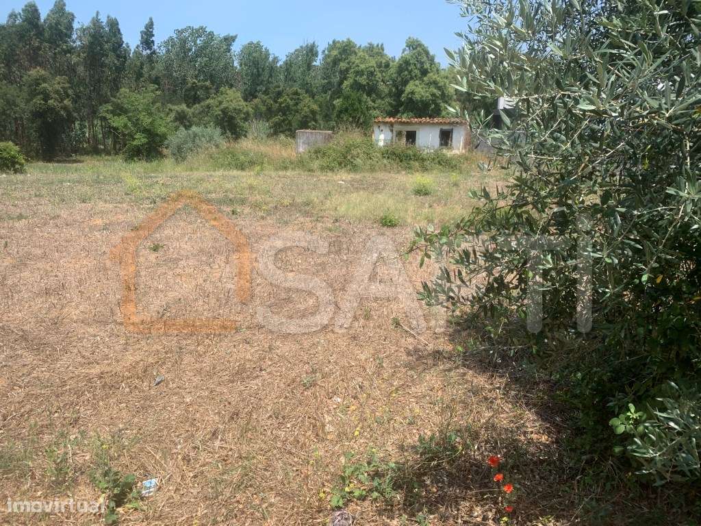 Terreno - Grande imagem: 4/5