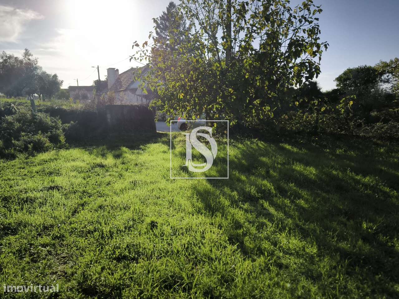 Terreno Rústico com capacidade construtiva em Oliveirinha-13