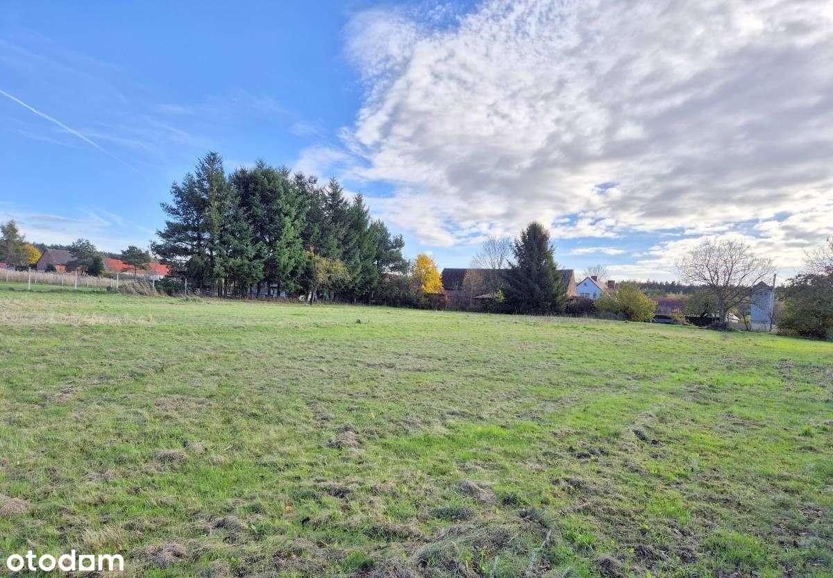 działka budowlana Garwół/Wołów - Pełny obrazek: 2/8