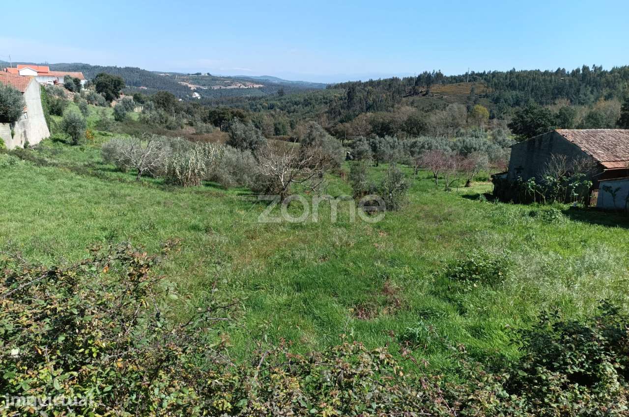 Terreno misto c/ 2100 m2 sendo 625 m2 urbanos | V.N.Poiares - Grande imagem: 5/15