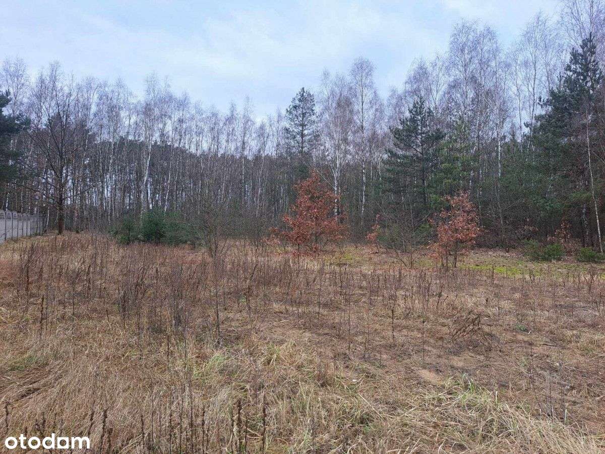 Piękna działka przy lesie ✨Pnb na willę-8