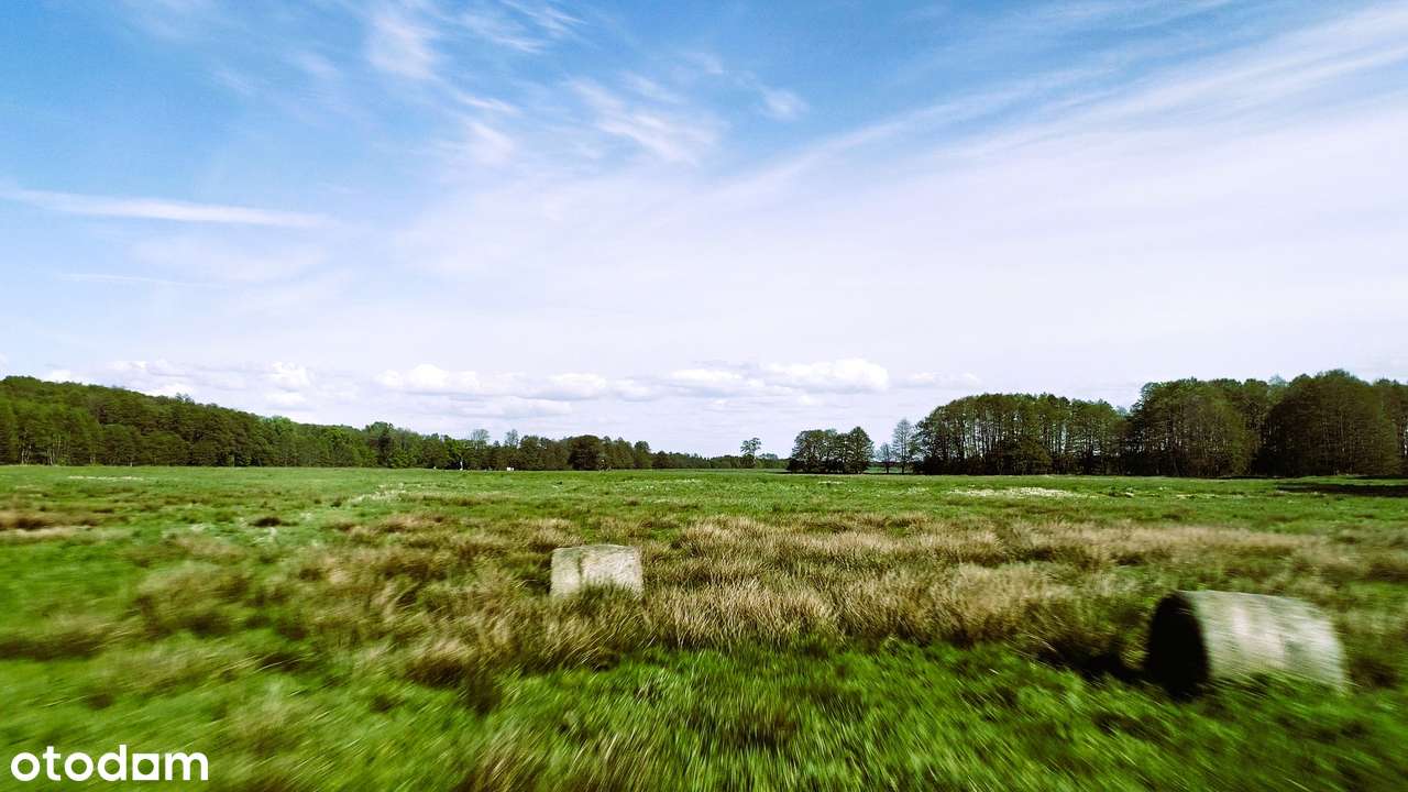 Działka w Biesiekierzu blisko morza i Koszalina (42 ha!) - Pełny obrazek: 4/8