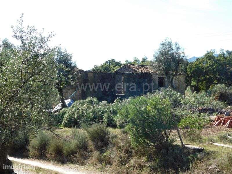 Quinta T1 / Fundão, Vale Prazeres - Grande imagem: 5/15