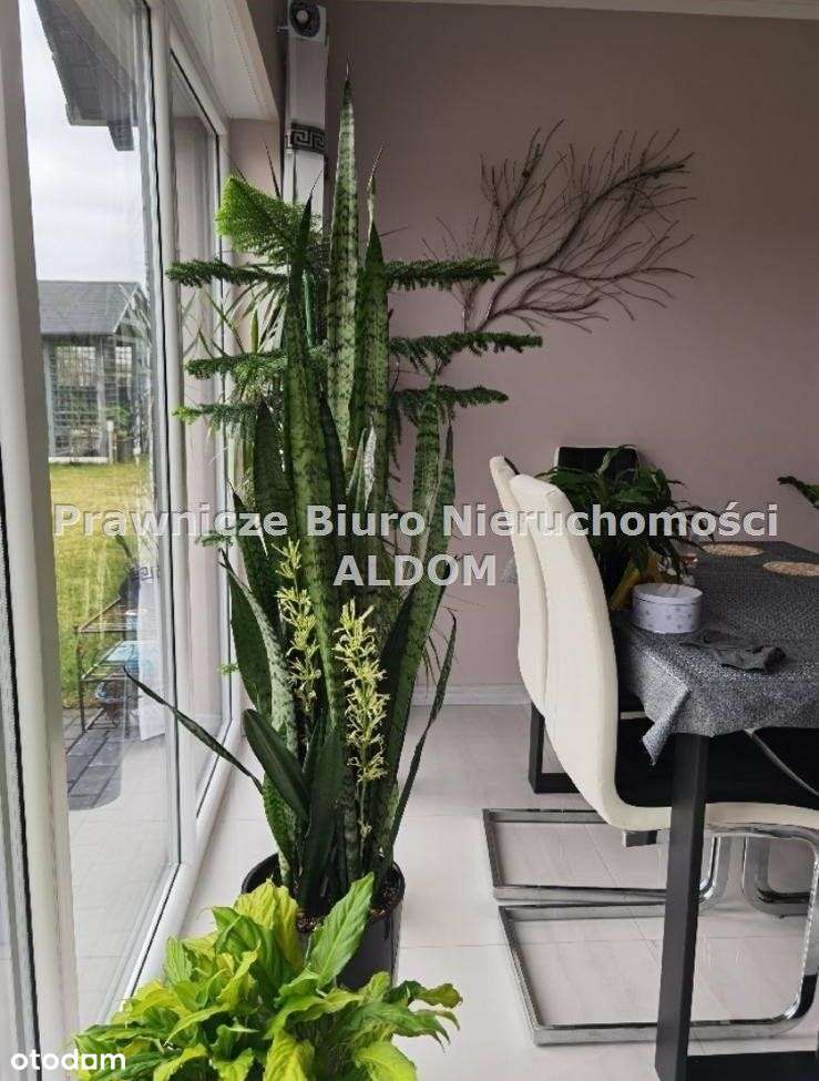 Komfortowy dom w Grodźcu, koło Ozimka-8