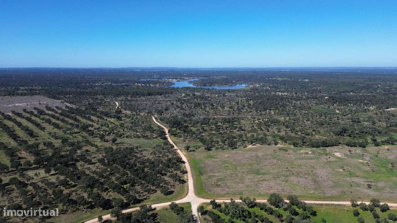 Terreno Rústico com 1,8 ha junto à Barragem de Fonte de Serne-6