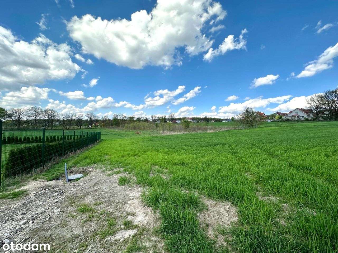 Działka pod lasem | doprowadzony wodociąg-3