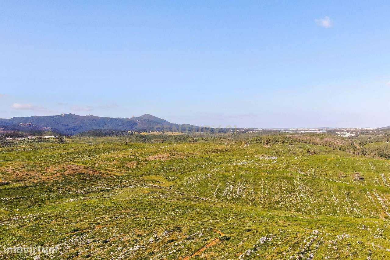 Moradia T3 Cascais venda | Jardim Privativo e Vista para o Parque Natu-39