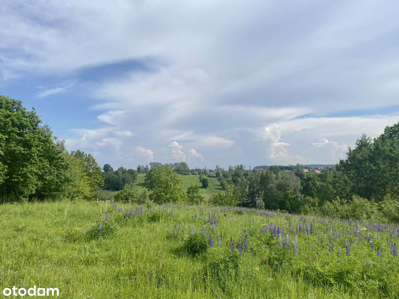 Teren do zagospodarowania na wzgórzu - Pełny obrazek: 5/6