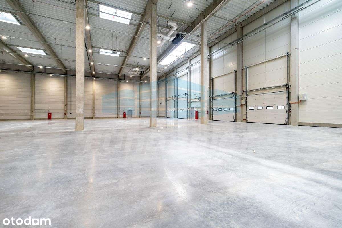 Nowy magazyn + biuro 800-3.900mkw S7 - Pełny obrazek: 4/12
