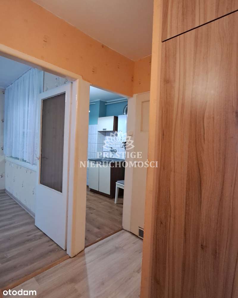 Funkcjonalne i ekonomiczne mieszkanie na parterze-0