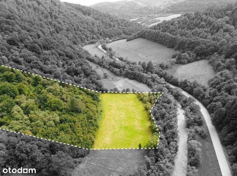 Atrakcyjna działka inwestycyjna w Uściu Gorlickim - Pełny obrazek: 5/7