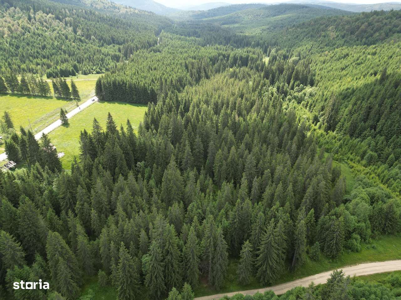 Teren extravilan 5000 MP Comandau-9