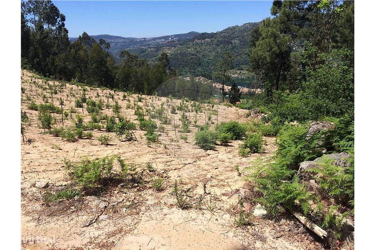 Terreno  para venda - Grande imagem: 2/20