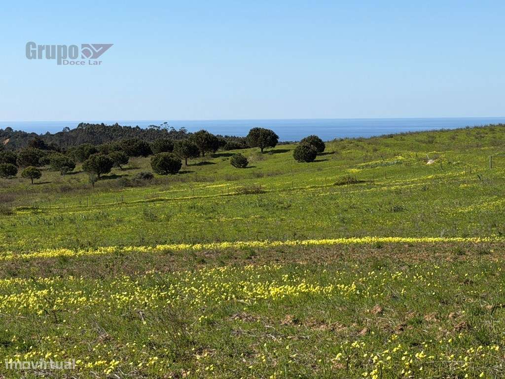 Propriedade Exclusiva em Sesimbra: Moradia T3 + Projeto Aprovado e ...-11