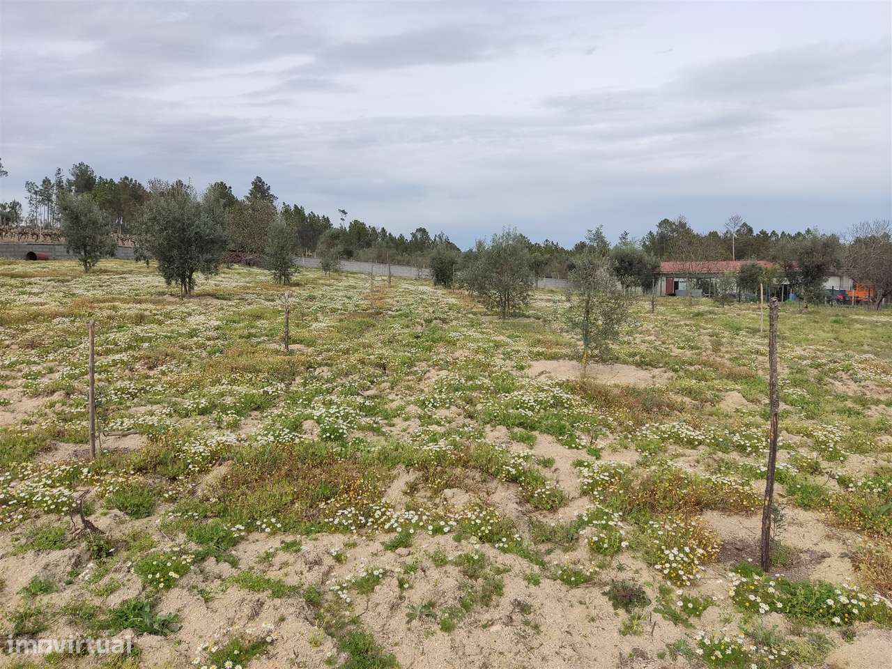Terreno para construção em Campina, Penalva do Castelo - Grande imagem: 3/7