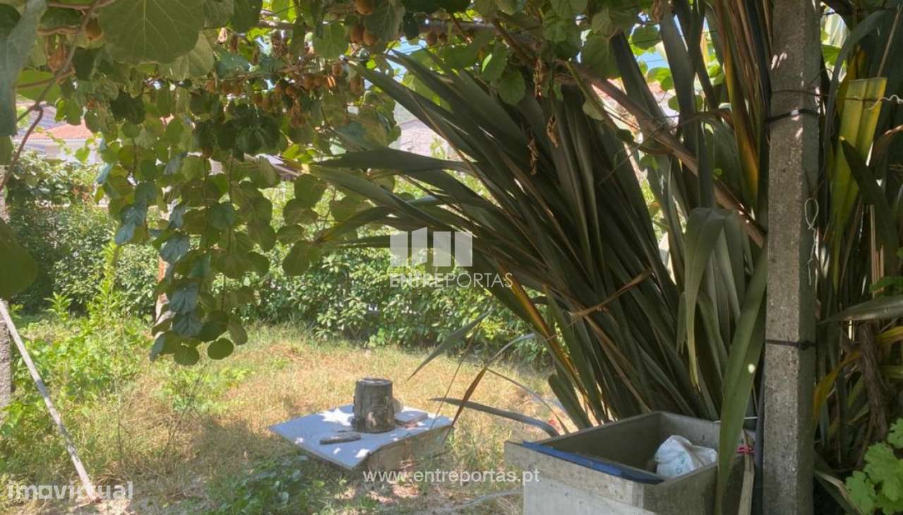 Venda Terreno para construção, São Lourenço do Douro, Marco de Can - Grande imagem: 4/36