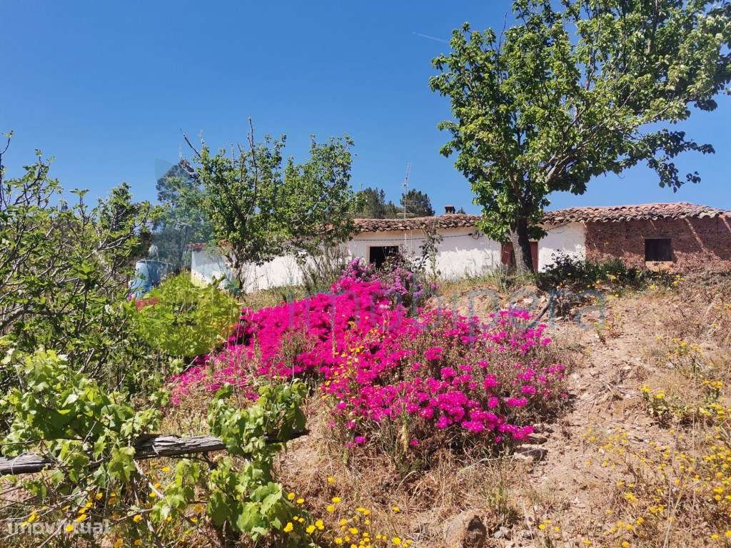 Quintinha para recuperar em Monchique - Grande imagem: 1/9