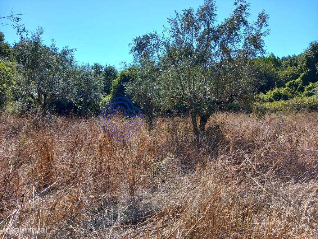 Terreno agrícola com uma ribeira a 10 minutos de Dornes-9