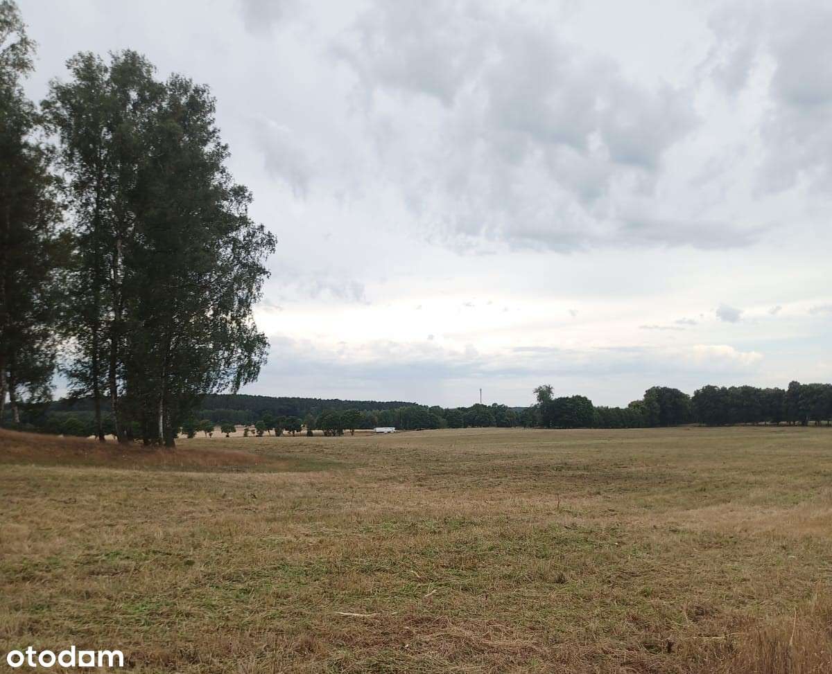 Grunt rolny 35 hektarów wydzierżawię Ziemia Rolną - grunty rolne orne - Pełny obrazek: 2/3