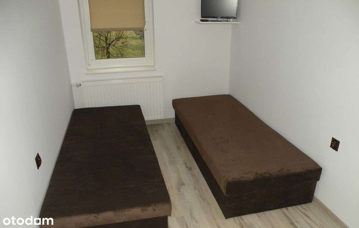 Wynajme - Pełny obrazek: 1/7