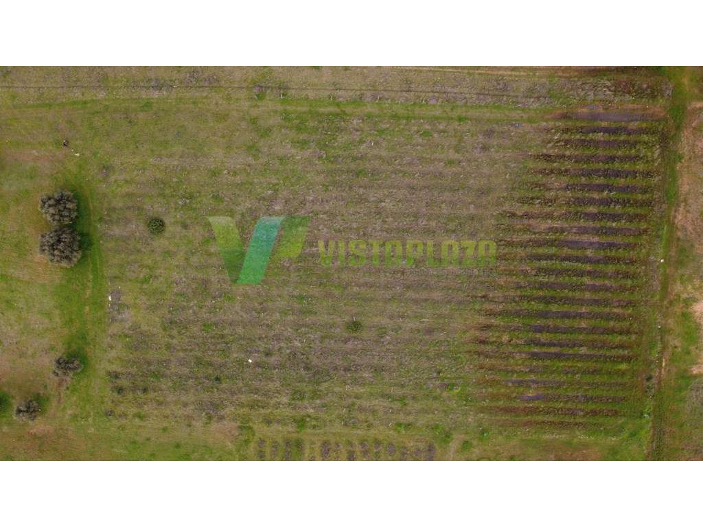 Lote de terreno rústico perto de Paderne, plano, vedado e com vista...-16