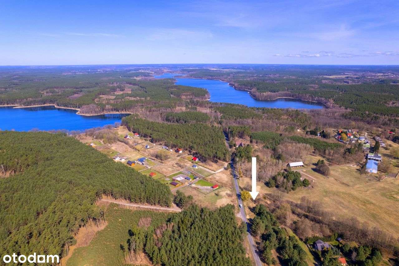 Przy Jez. Wędromierz, Pszczewski Park Krajobrazowy - Pełny obrazek: 5/8