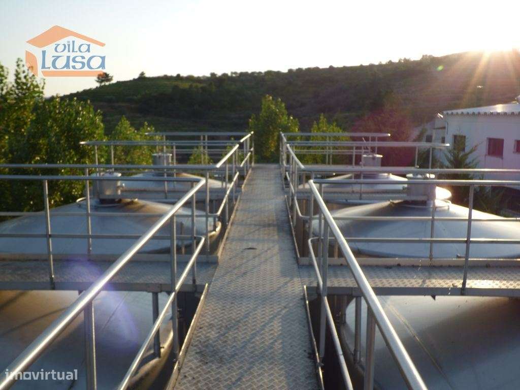 Quinta no Douro de excelente qualidade - Grande imagem: 5/14