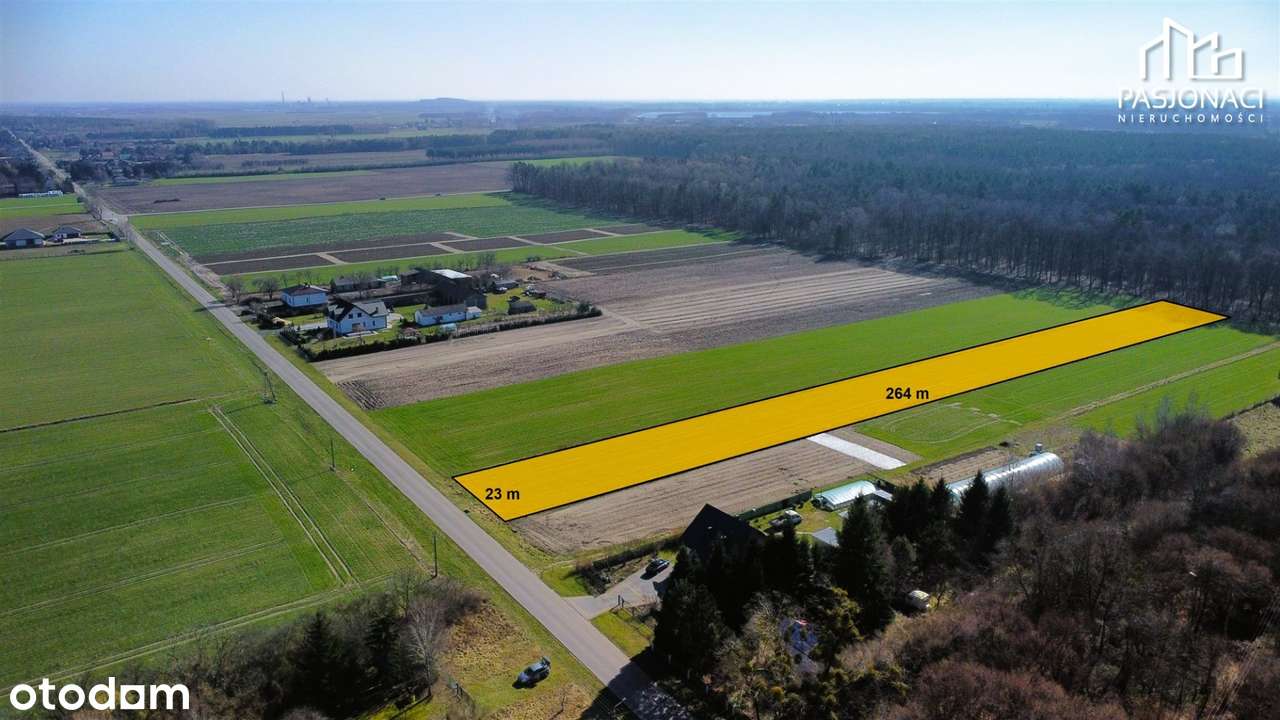 Duża działka przy lesie na Pojezierzu - Pełny obrazek: 5/7