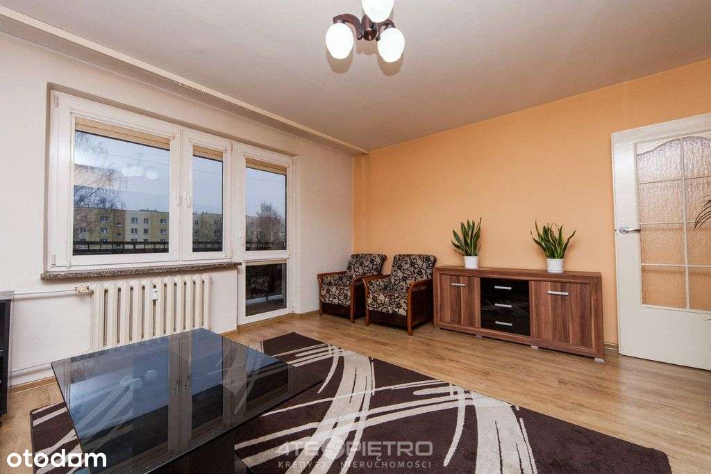 Przestronne mieszkanie z dużym balkonem - Pełny obrazek: 2/13