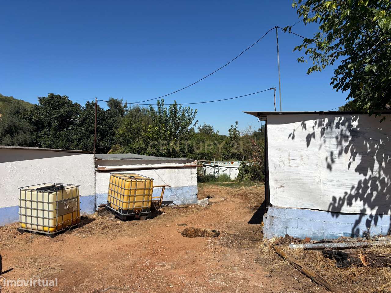 Quintinha com Moradia T2 + Armazém | 2ha vedados | Rio | Fruteiras | A-37