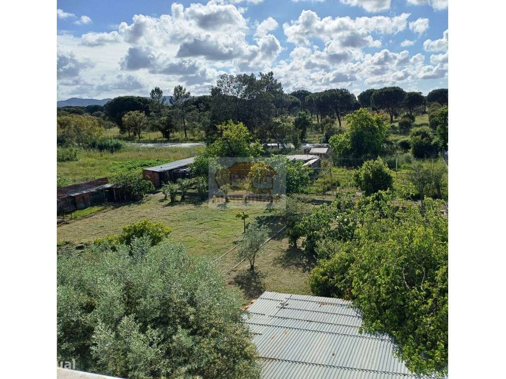 Excelente oportunidade - Quinta com 3 habitações em Grândola-21