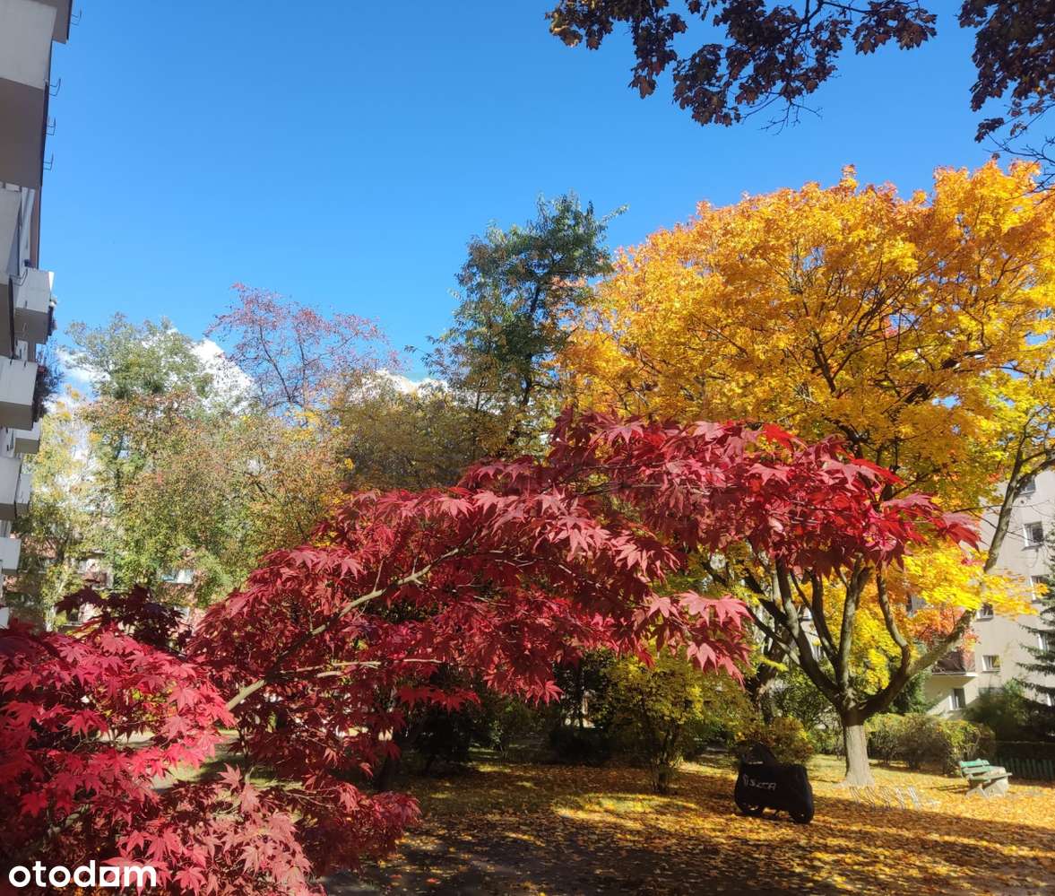 Metro Bemowo, 2(3) pokoje, do wejścia-8