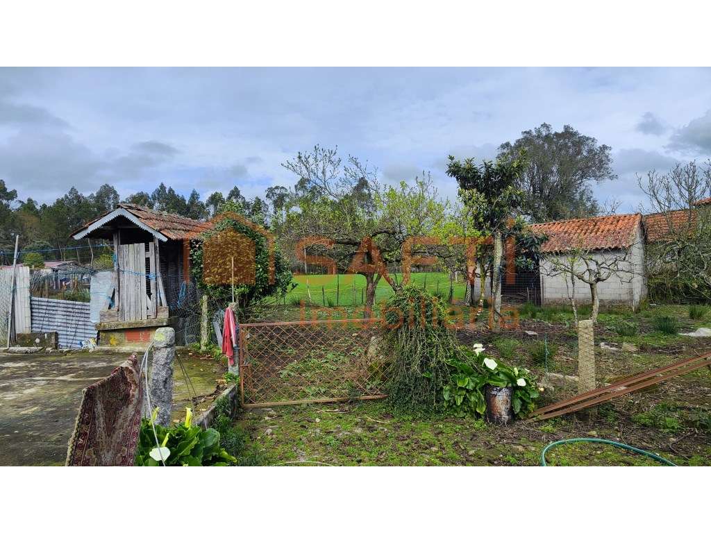 Moradia T4 para recuperar, Vilar das Almas - Ponte de Lima - Grande imagem: 5/14