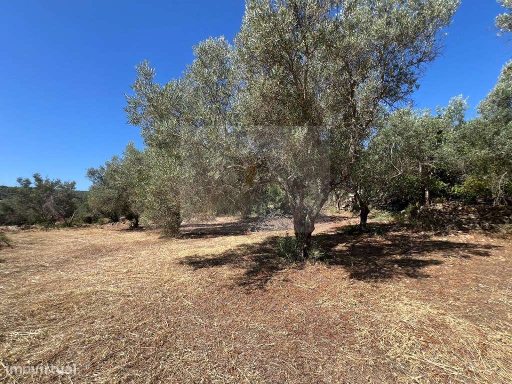 Terreno Urbano numa Zona Tranquila - Grande imagem: 4/6