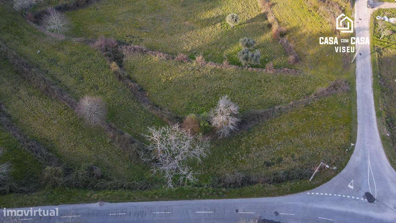 Quinta em S. Pedro de France - Grande imagem: 4/9