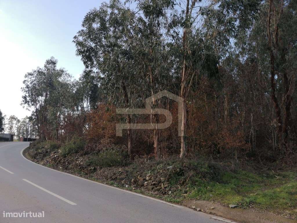 Terreno Industrial em Ribeirão - Excelente Oportunidade - Grande imagem: 4/5