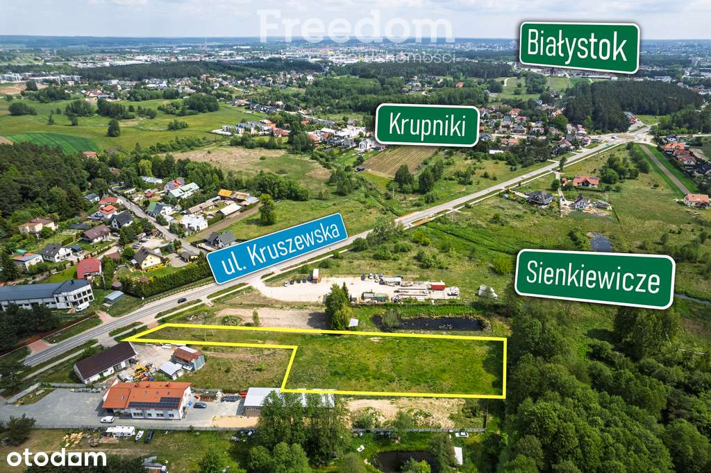 4446 m2 * MN, UI, UR * Bezpośrednio przy asfalcie - Pełny obrazek: 3/5