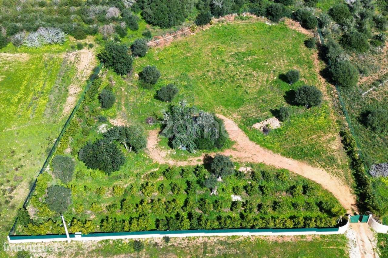Terreno rústico vedado, com eletricidade e agua em Silves - Grande imagem: 2/31