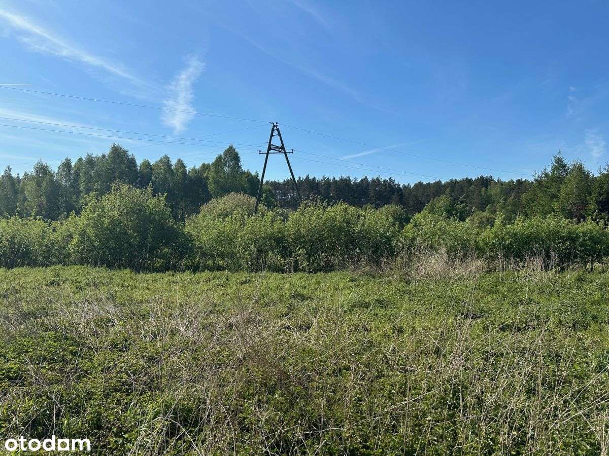 Klaniny- działka rekreacyjna 3900 m2 - Pełny obrazek: 4/6