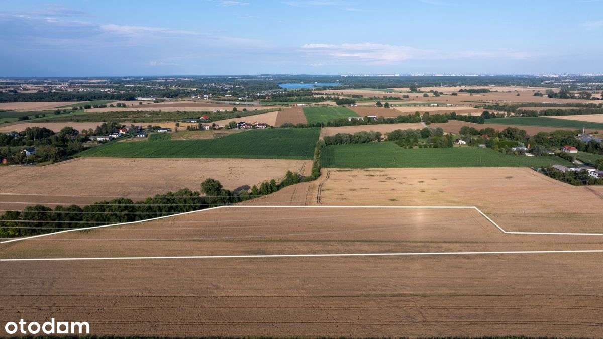 Działka Rolna Kobylniki - Pełny obrazek: 5/11