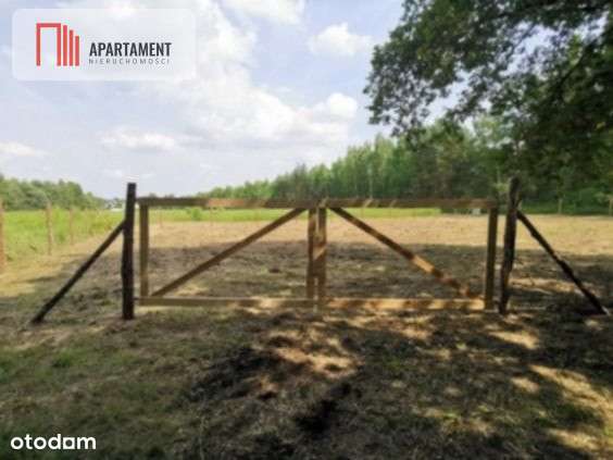 1222 m2 z widokiem na las! - Pełny obrazek: 3/14