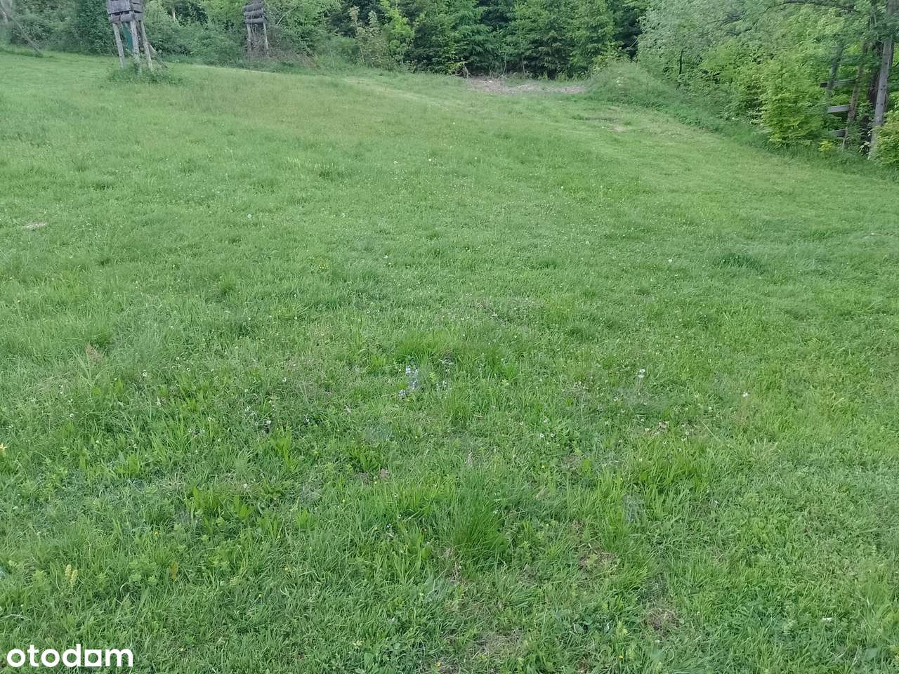 Widokowa działka w Zawoi-1