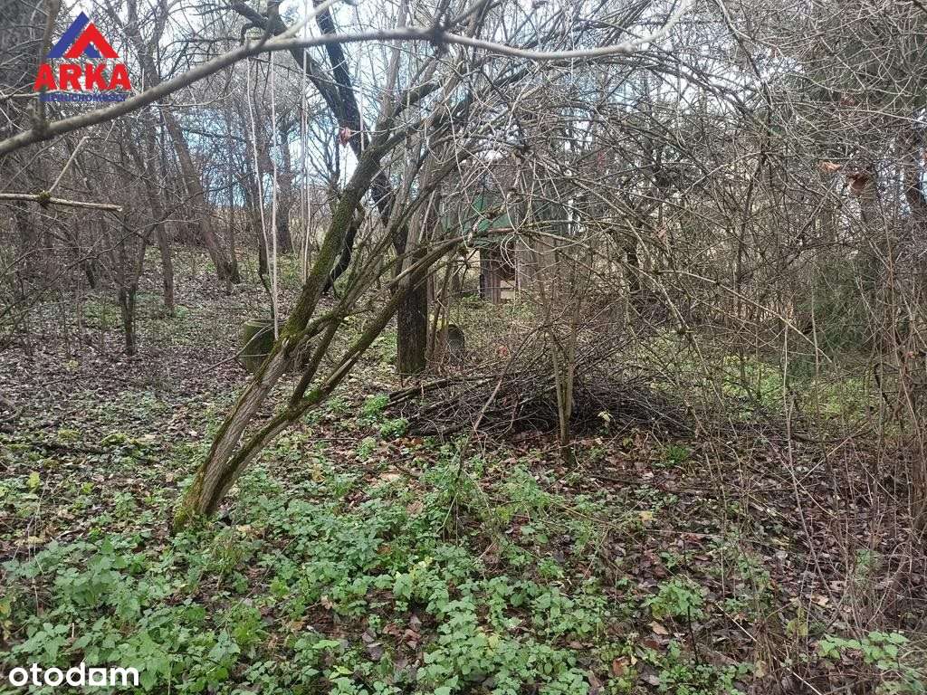 Dom do remontu na dużej działce-5