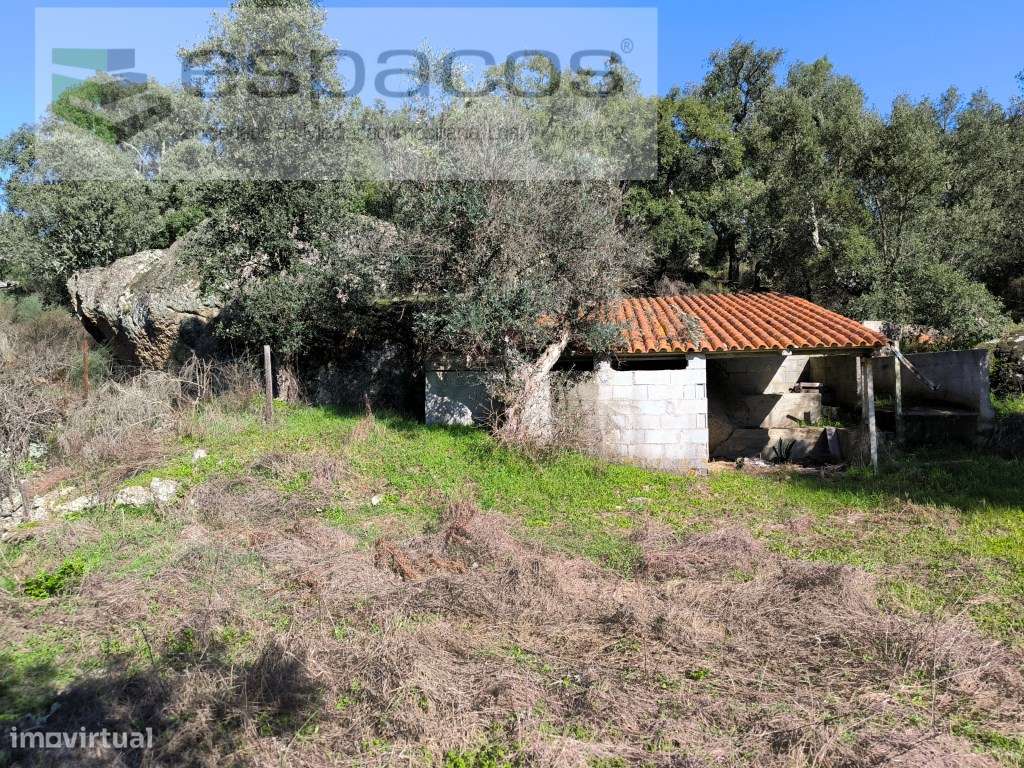 Terreno com casa em pedra e anexos - Palvarinho-5