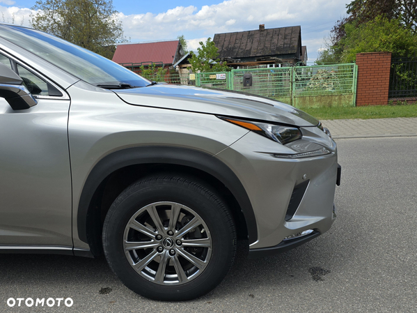 Lexus NX - 31