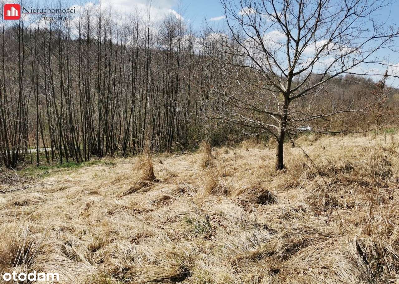 3 Malownicze działki budowlane- 6 km od Wieliczki - Pełny obrazek: 5/5